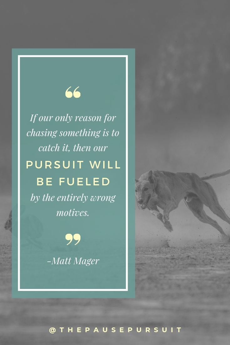 Dog race - Dogs chasing a rabbit - Quote image - If our only reason for chasing something is to catch it, then our pursuit will be fueled by the entirely wrong motives. - Pursue Your Wife - Part 1