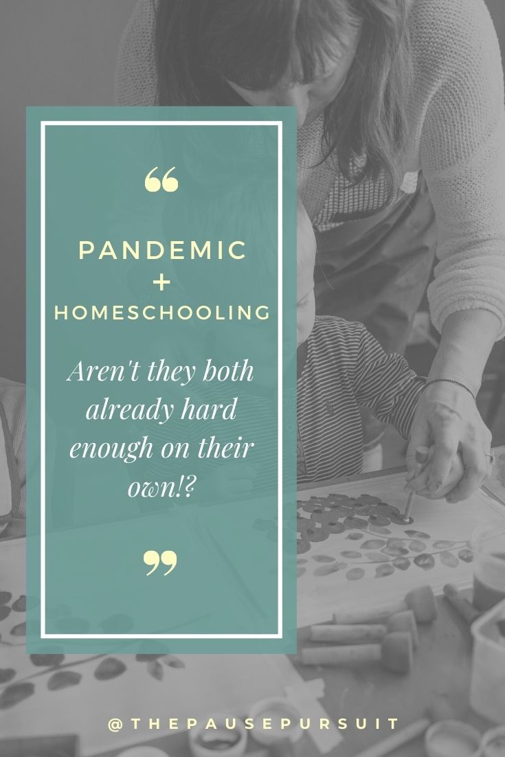 Mom homeschooling child